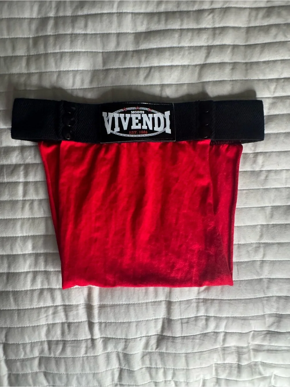 MODUS VIVENDI Men's Red Athletic Jock Brief with Wide Branded Waistband